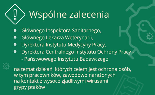Ptasia grypa - zalecenia