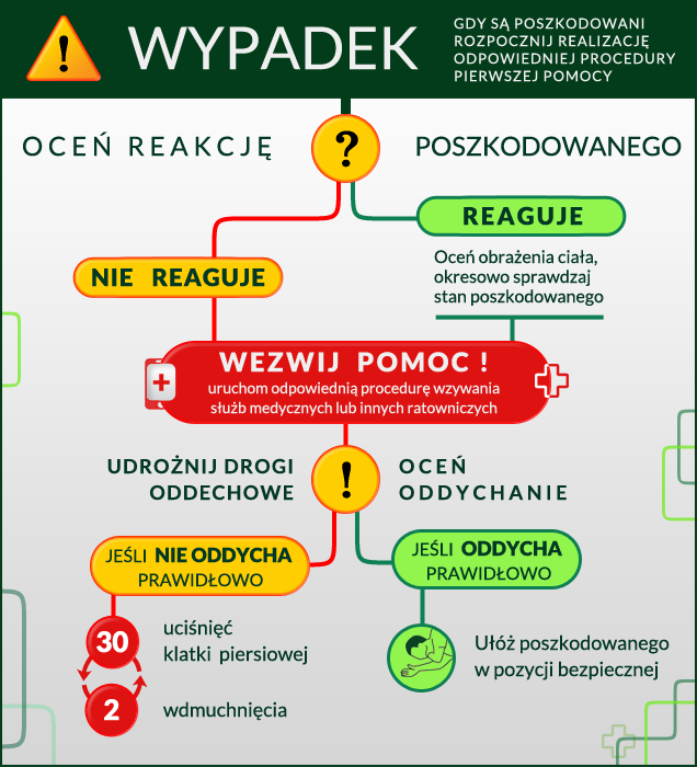 Rozpoznanie Miejsca Wypadku Drogowego Udzielenie Pierwszej Pomocy Schemat postępowania w ramach pierwszej pomocy w przedsiębiorstwie