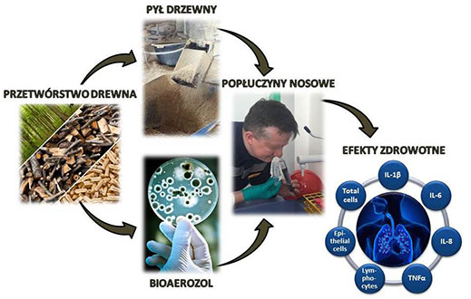 Schemat kontroli i oceny narażenia na pył i drobnoustroje w powietrzu zakładów przetwórstwa drewna