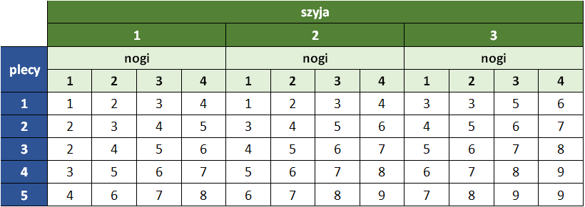 BEZPIECZNIEJ_NE_obciazenie_ms_REBA_ocena_pozycji_ciala_grupa_A