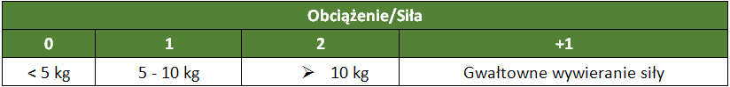 BEZPIECZNIEJ_NE_obciazenie_ms_REBA_ocena_wywieranej_sily