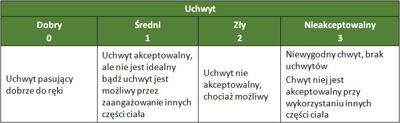 BEZPIECZNIEJ_NE_obciazenie_ms_REBA_ocena_sposobu_uchwytu